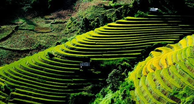한국의 스마트팜 수출 전략과 글로벌 경쟁력
