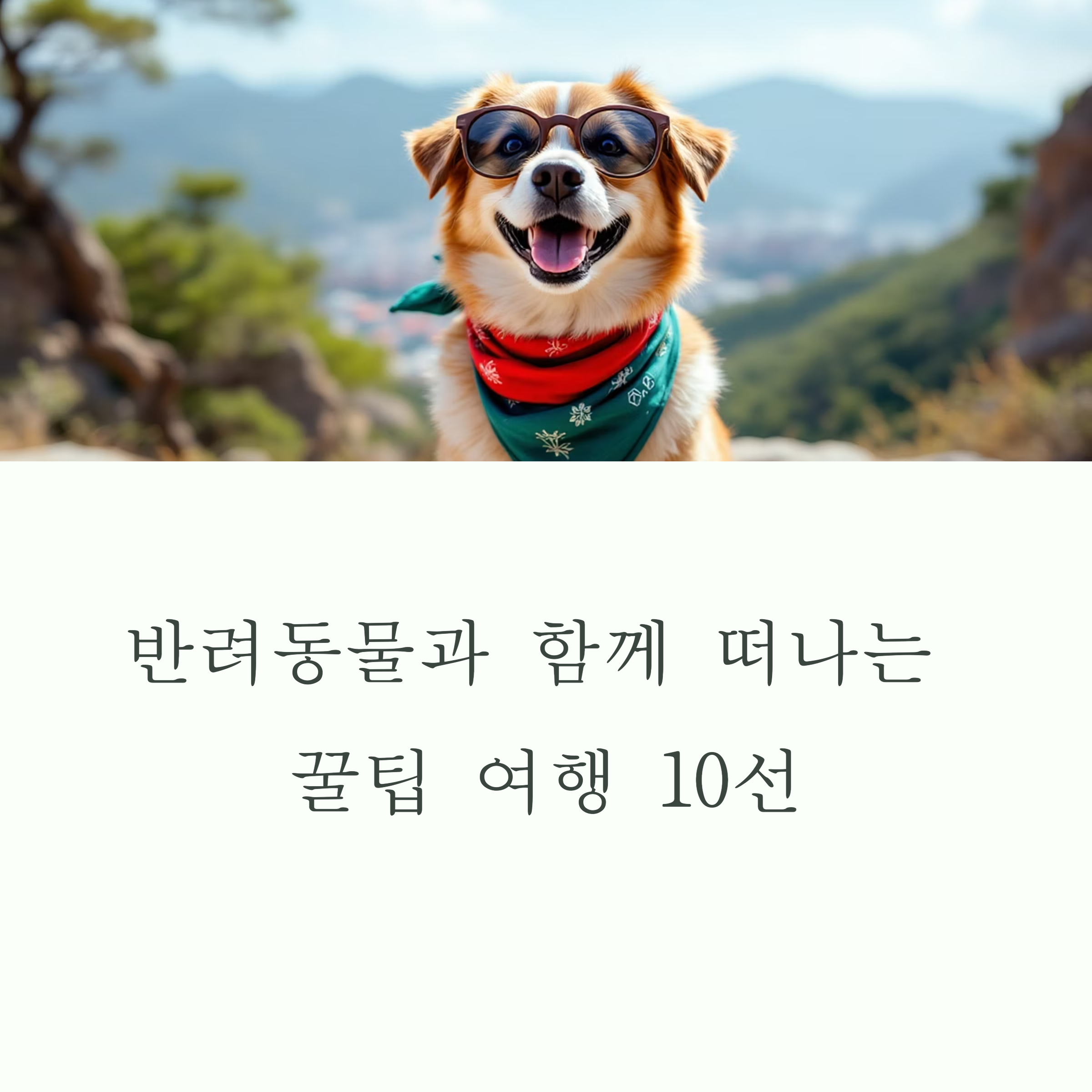 반려동물과 함께 떠나는 꿀팁여행 10선