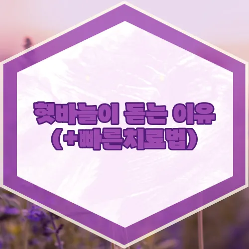 혓바늘이 돋는 이유 (+빠른치료법)