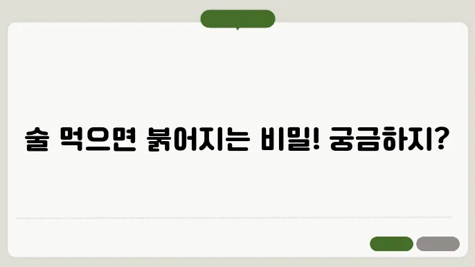 술 먹으면 다어 렌나감 빨쇀는 이유