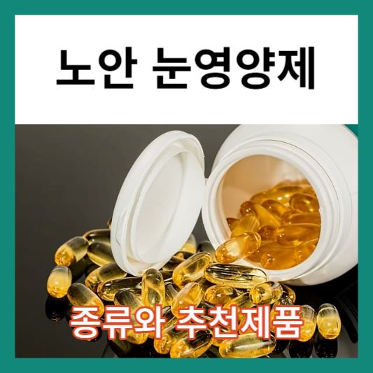 노안눈영양제