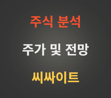 씨싸이트_주가_및_전망_분석