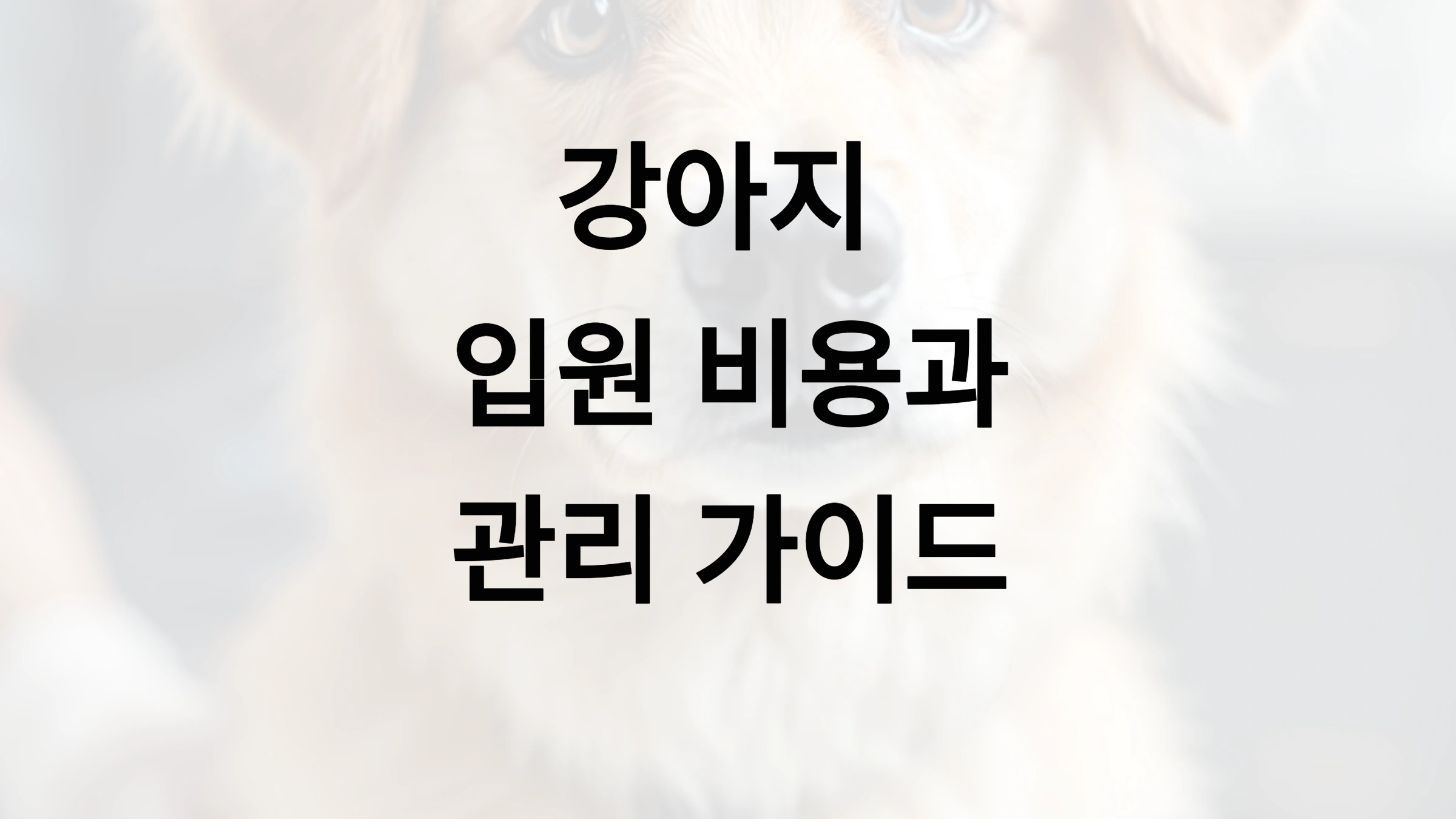 강아지 입원 비용과 관리 가이드