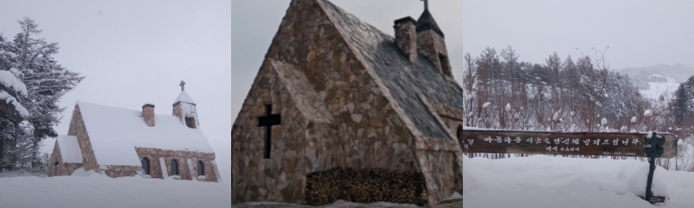 생생정보통 오늘방송(3월 17일) 숲속의요정,실버벨교회,감자창고,평창무이예술관