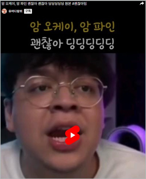 밈유래 뜻 밈유행 모음 사용예