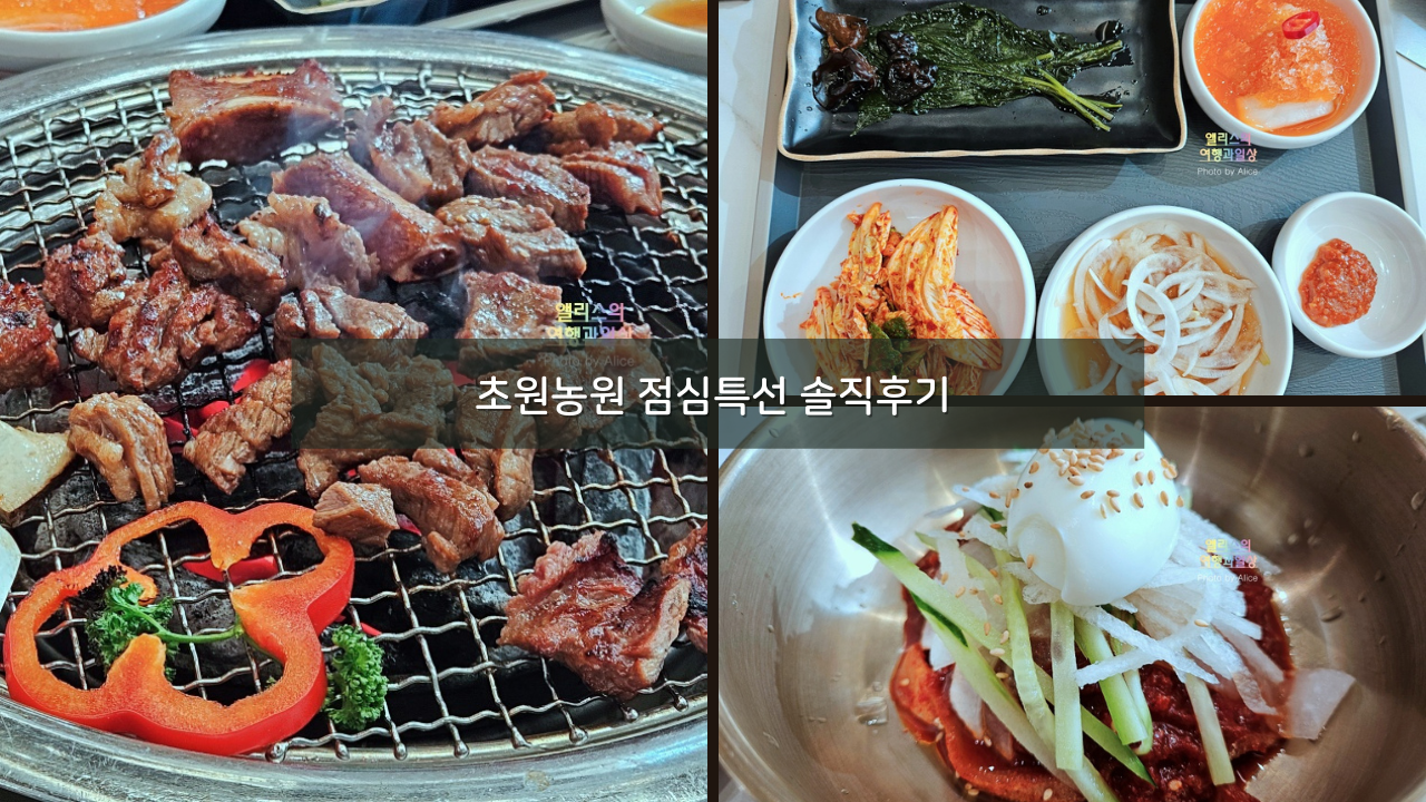 부산 양정 양념갈비 맛집 초원농원 점심특선 가격 후기