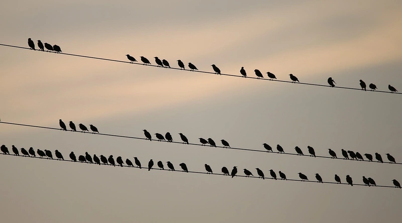전선 설치 심도 기준과 단면 설명