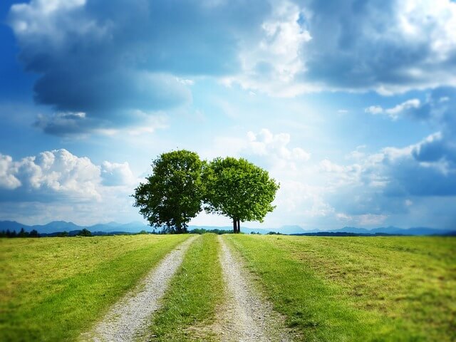 탄소중립실천포인트