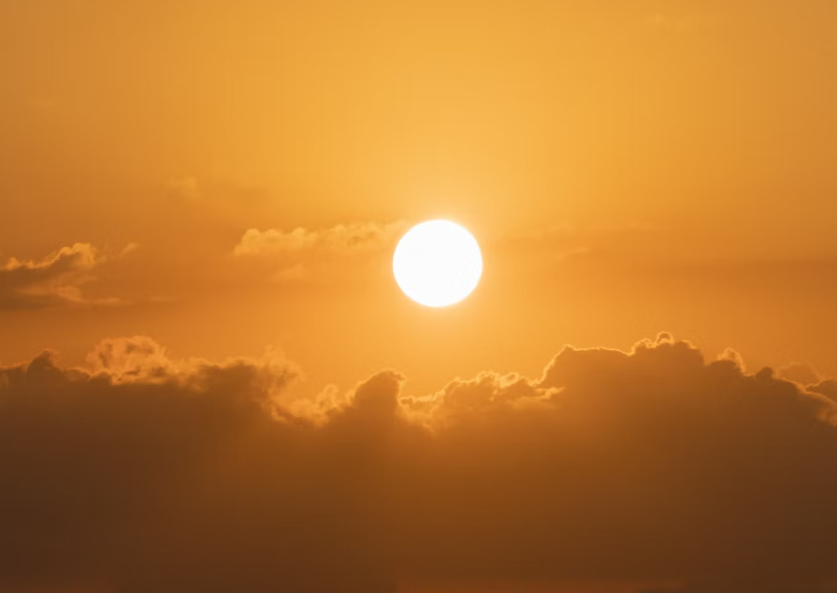 비타민D 결핍 부족하면 증상 어지럼증 가려움, 해결 음식