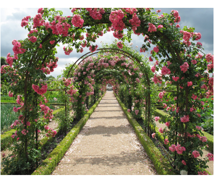 꽃길 따라 떠나는 여행