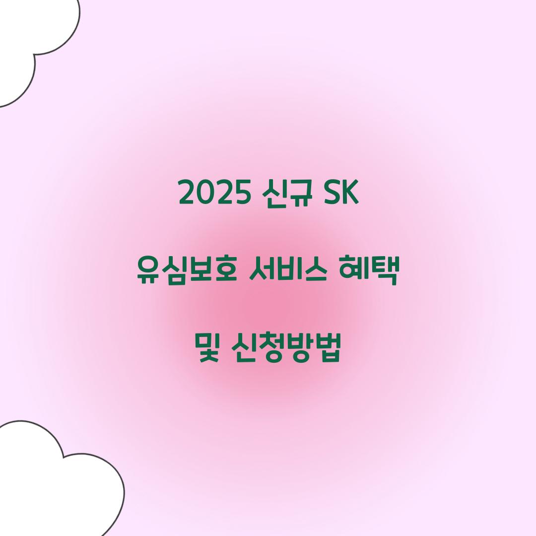 2025 신규 SK 유심보호 서비스 기능 및 혜택