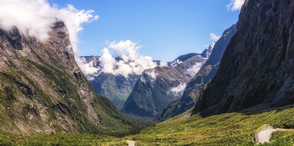 2025 뉴질랜드 유학 비용