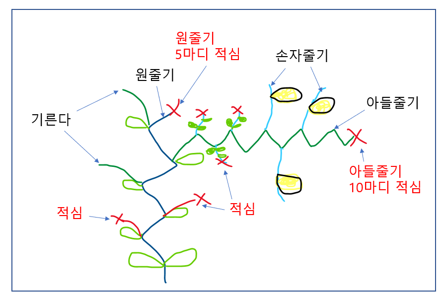 참외순지르기