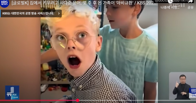 문어의 예상치 못한 변화