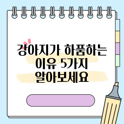강아지가 하품하는 이유 5가지 알아보세요