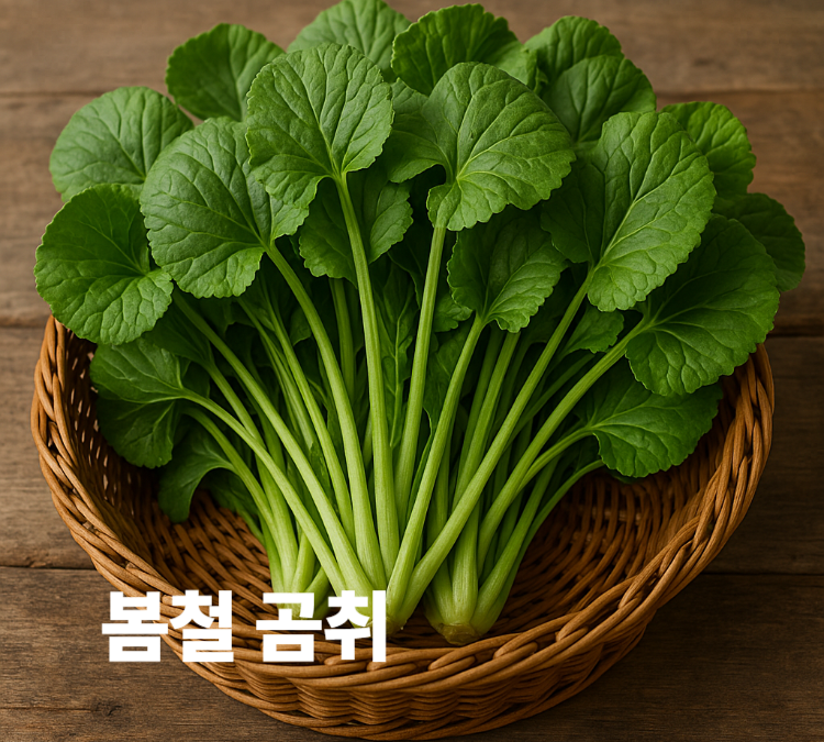 노화방지 염증개선 당뇨와 고혈압예방 봄철 곰취 효능 영양성분