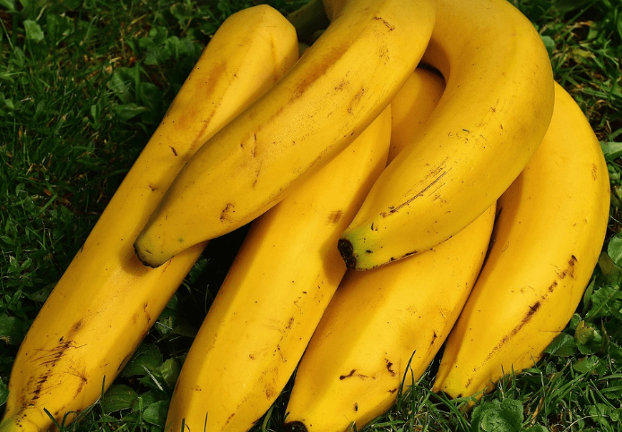 혈압 낮추는 음식 추천