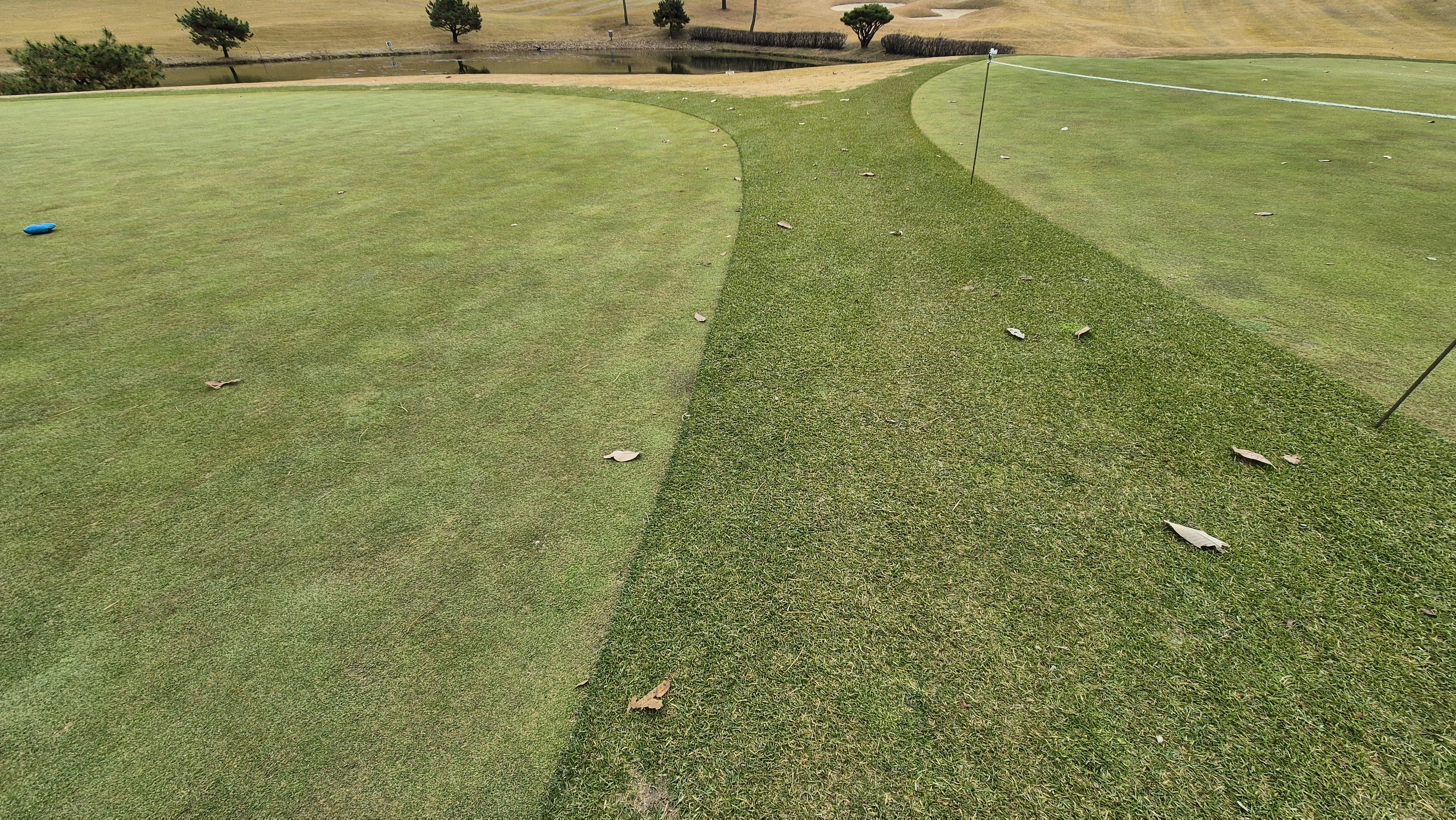 올데이 떼제베cc 가람-누리(서-남) 그린관리상태