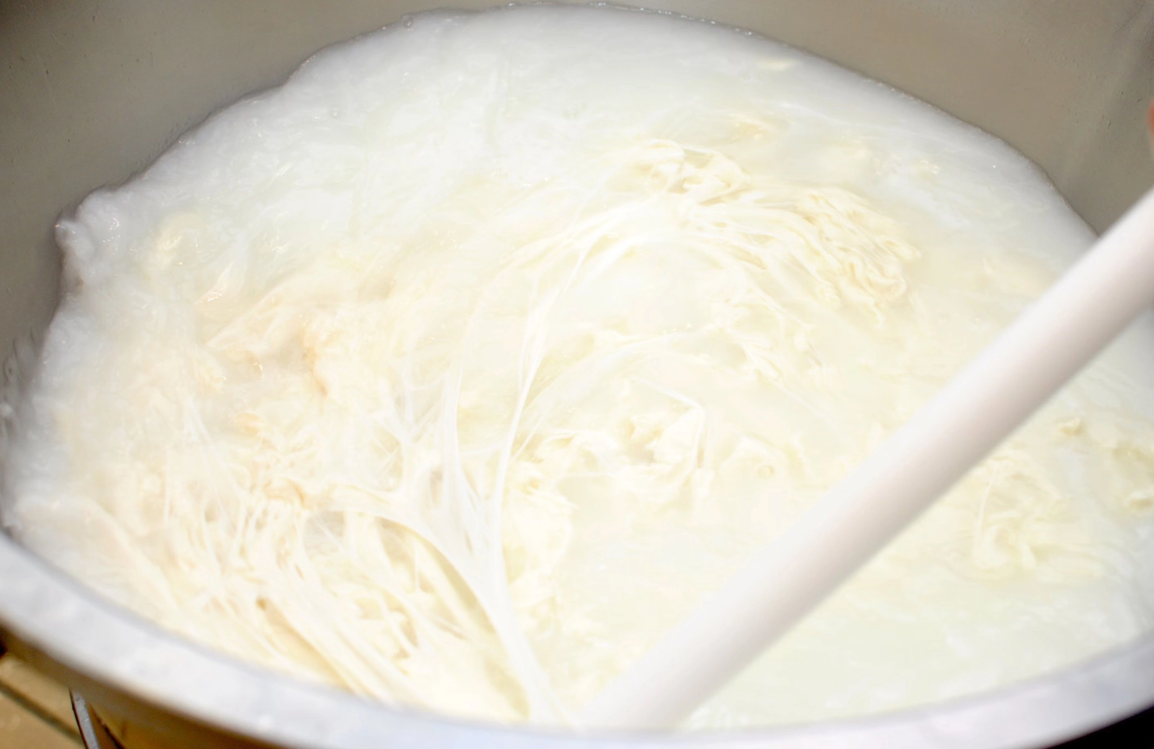 모짜렐라치즈 효능