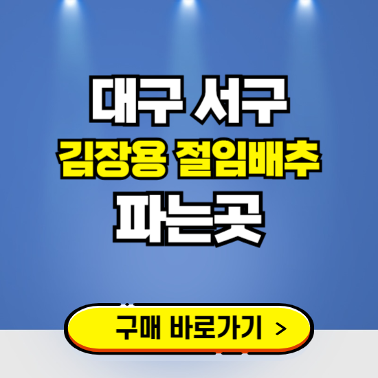 대구 서구 절임배추 사전예약 구입하는곳 ❘ 김장배추 파는곳 가격보기