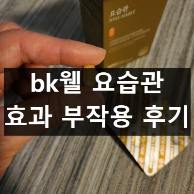 bk웰 요습관