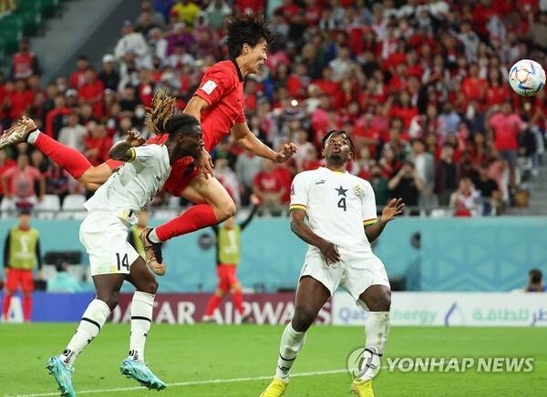 홍명보호 A매치 명단 발표 조규성 손흥민 이강인 홍명보 감독 프로필