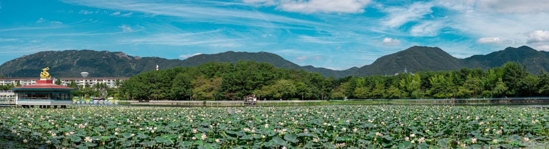 Changwon