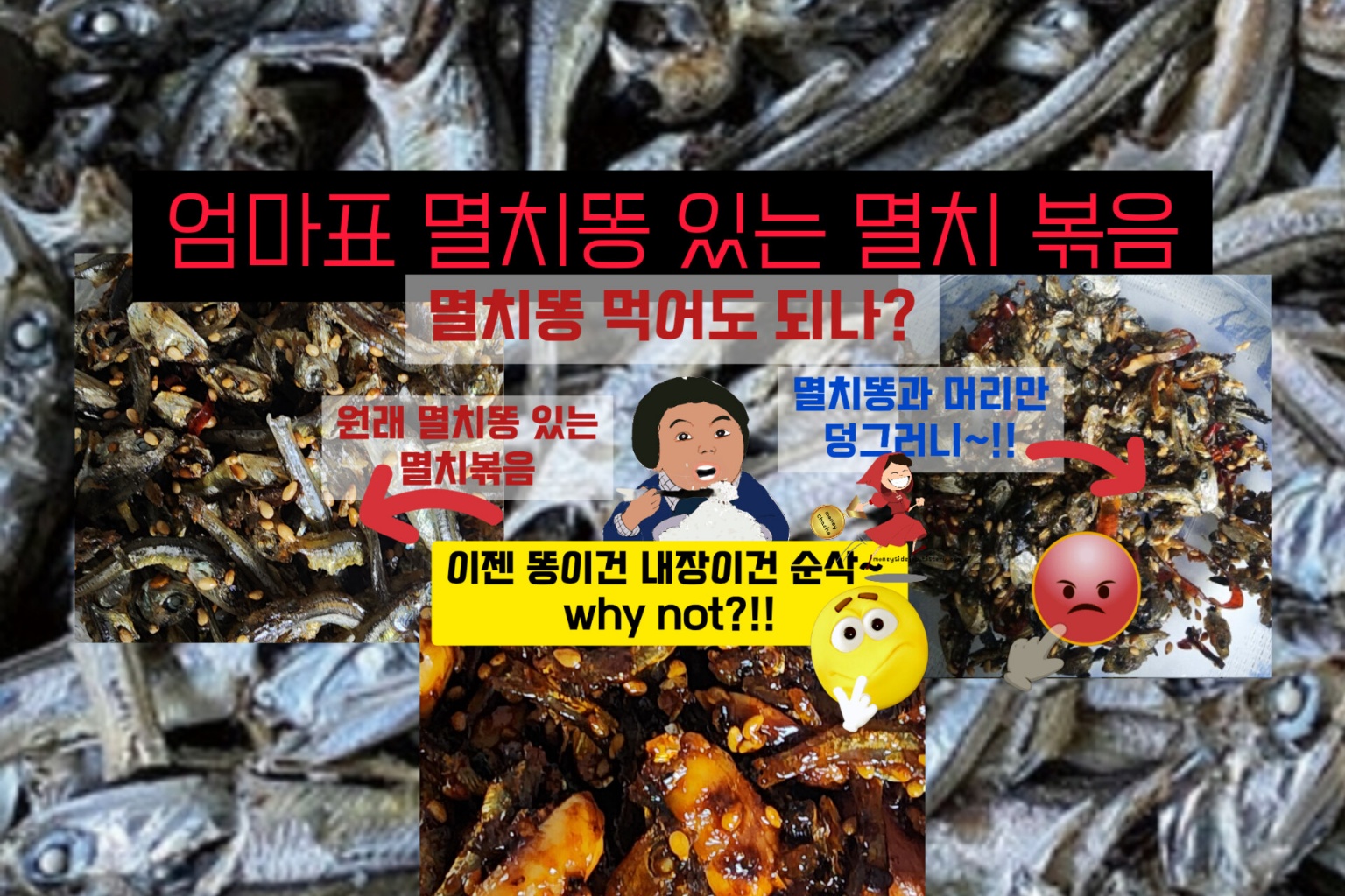 엄마 맛집-멸치똥- 멸치볶음