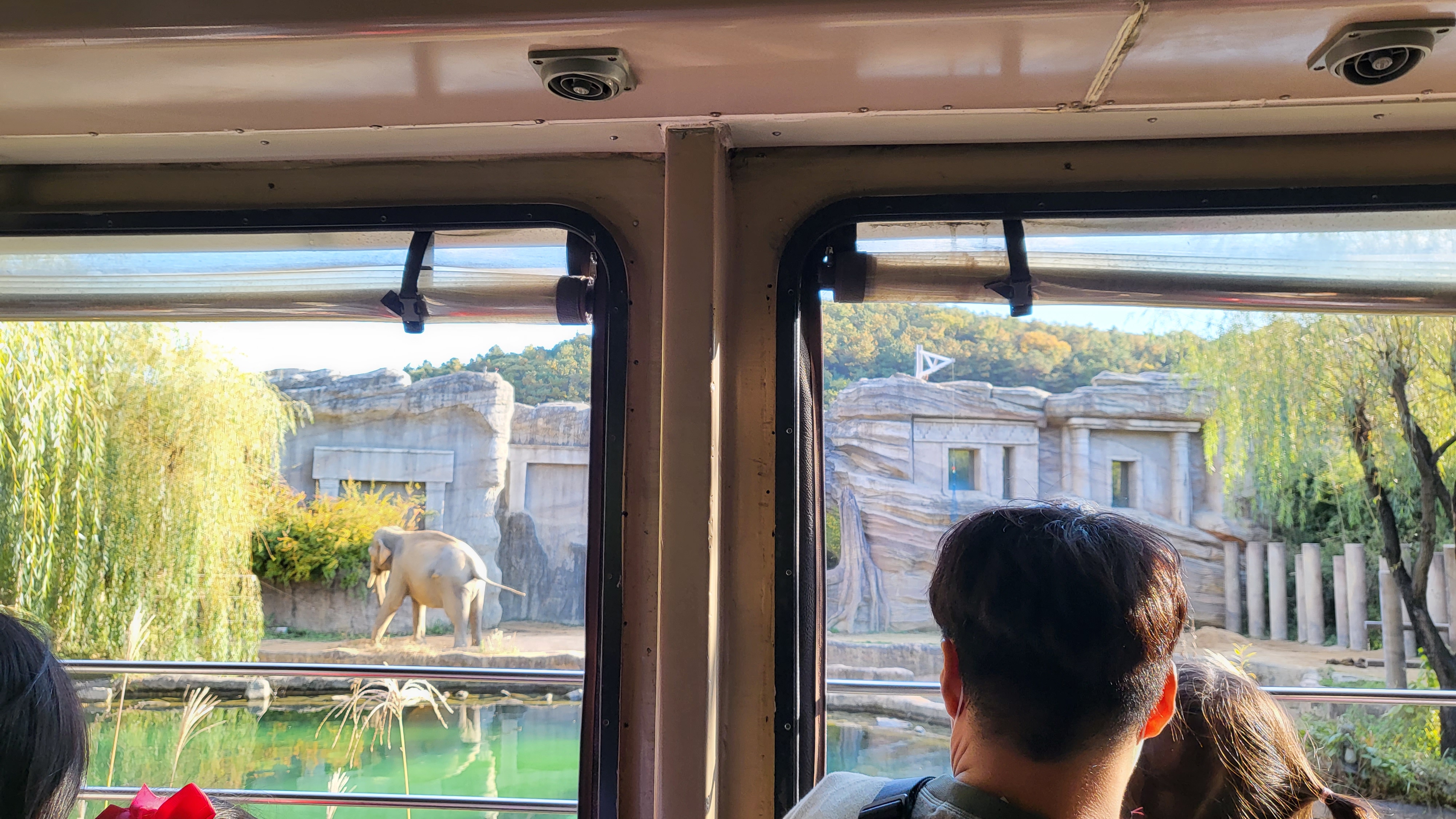 에버랜드 자유이용권 할인받는 꿀팁 총정리