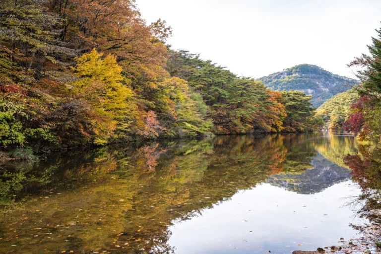 속리산 단풍시기