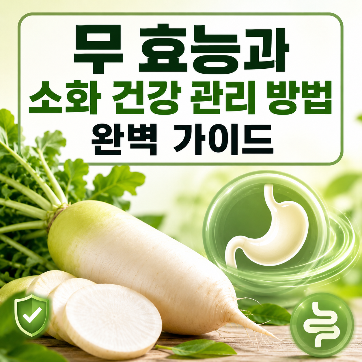 무 효능