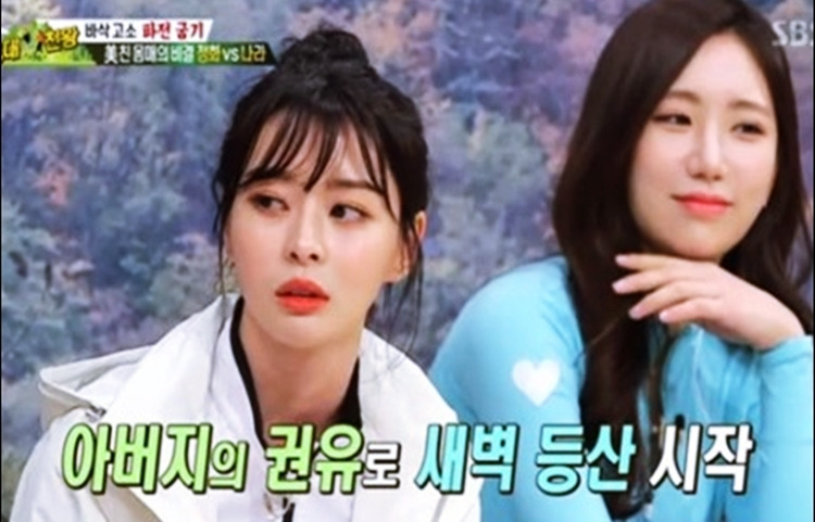 권나라 성형전