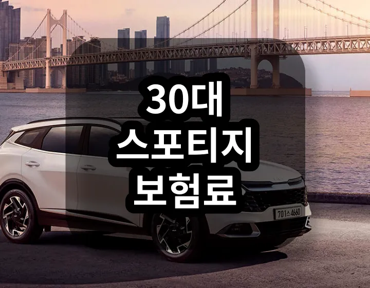 30대 스포티지 보험료