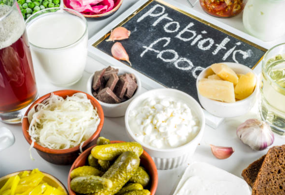 발효식품의 정의