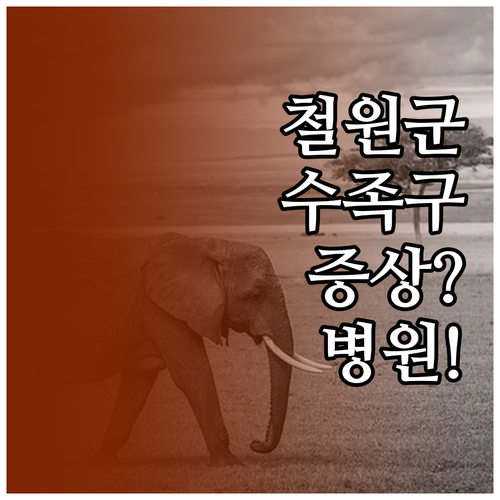 철원군 수족구 병원 정보와 증상 대처..