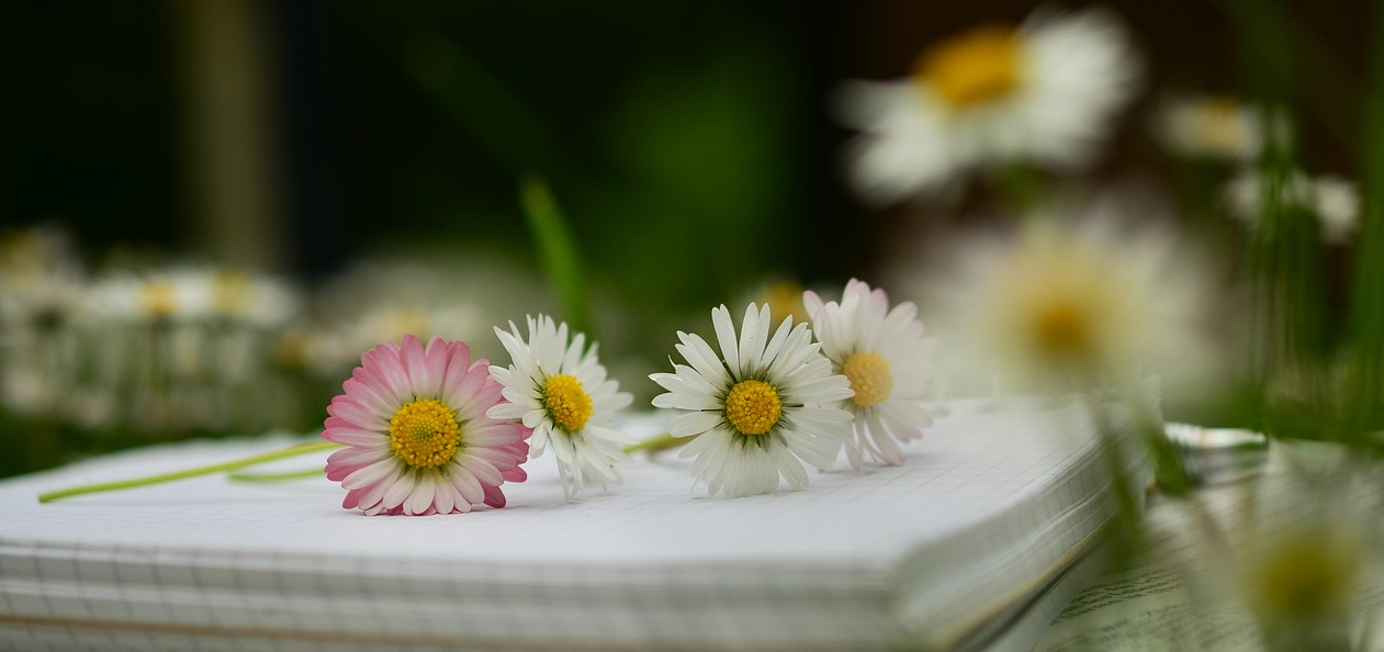 동의보감의 기본 구성