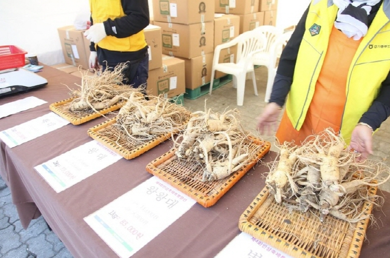 2024년 10월 가을 축제 일정