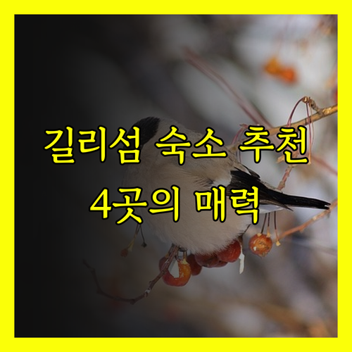 길리 섬 휴가 계획 중이신가요? 놓칠