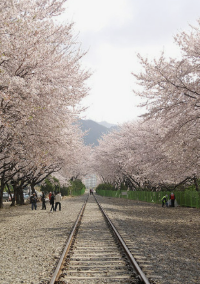 경화역 철길 사진