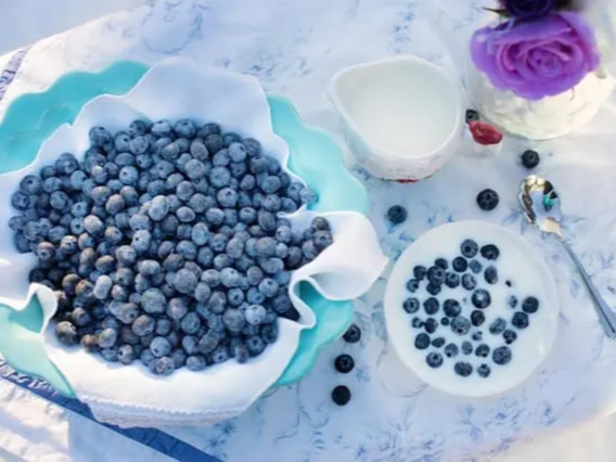 블루베리 급하게 사용할때 전자레이지 해동