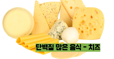 단백질 많은 음식