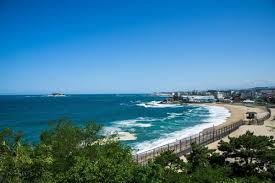 강원 여행의 달