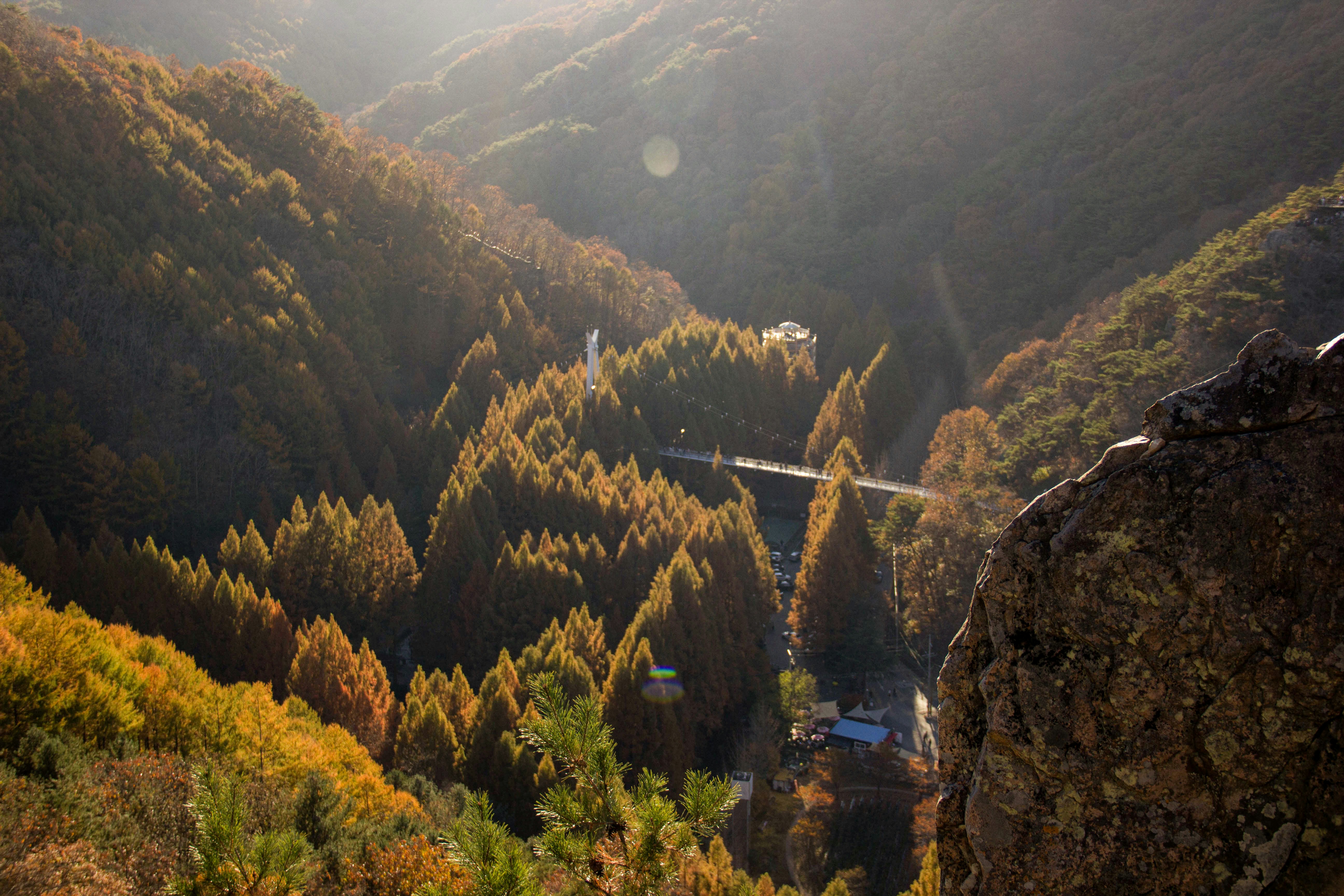 대전 엑스포과학공원 주차장 안내|요금·혼잡 시간 정리