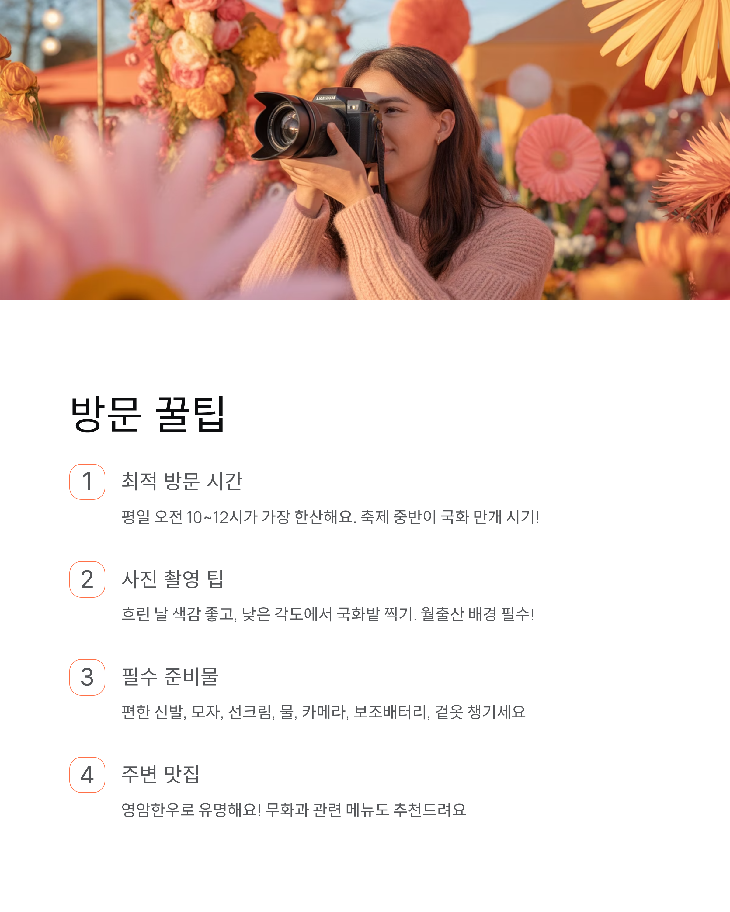 월출산 국화축제 2025 완벽 가이드! 무료 입장, 일정, 주차 총정리