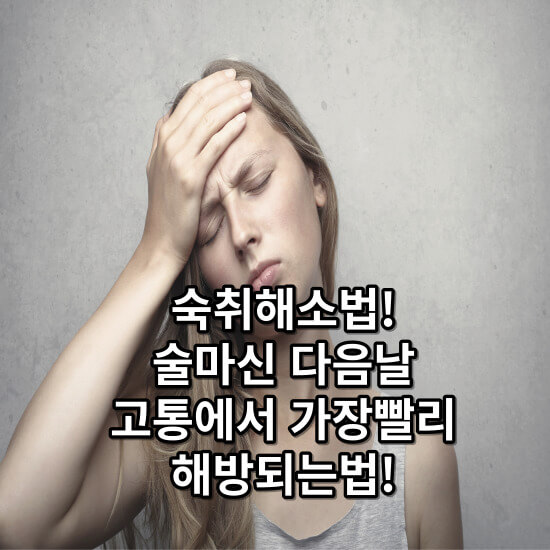숙취해소법