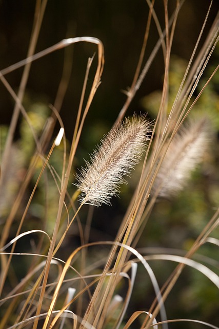 하늘공원 + 난지한강공원 산책과 망원 맛집 4시간 나들이 #5