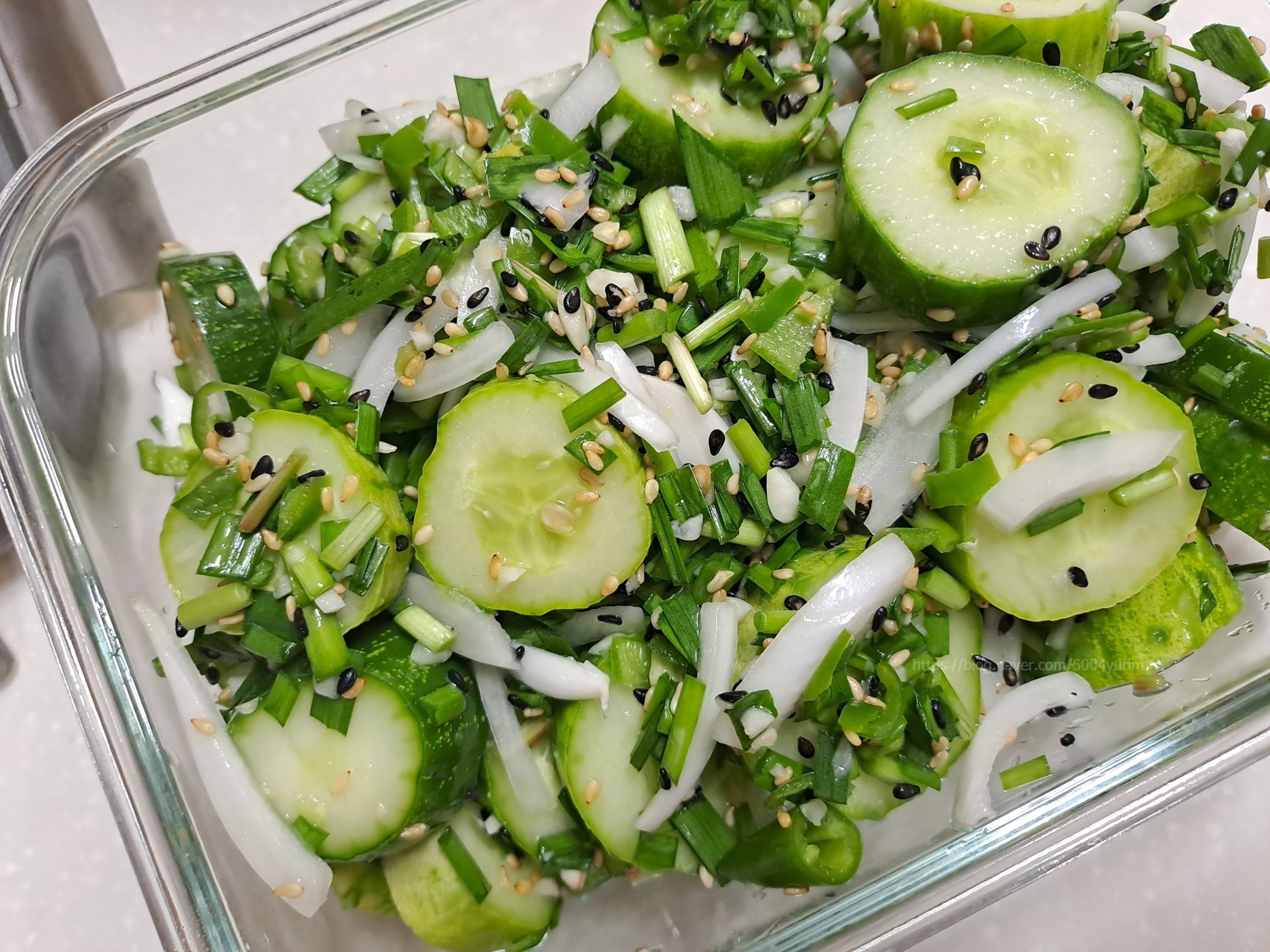 건강하게 체중 감량하는 다이어트 식단 완벽 가이드 오이무침