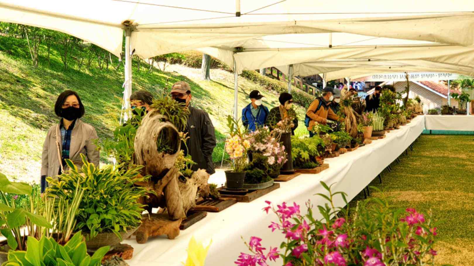 청남대 봄꽃 문화축제 영춘제 사전 예약 입장료 주차