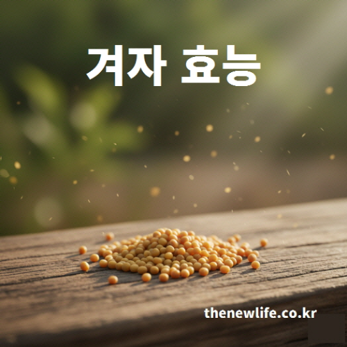 겨자씨 항산화 효능을 설명하는 이미지 – 항산화 물질이 풍부한 겨자씨 모습