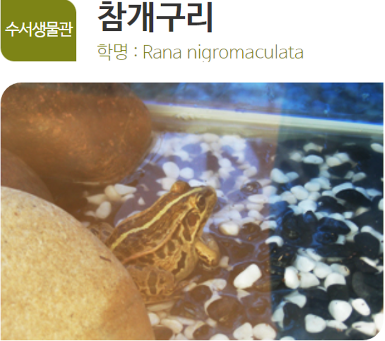 아산 생태곤충원